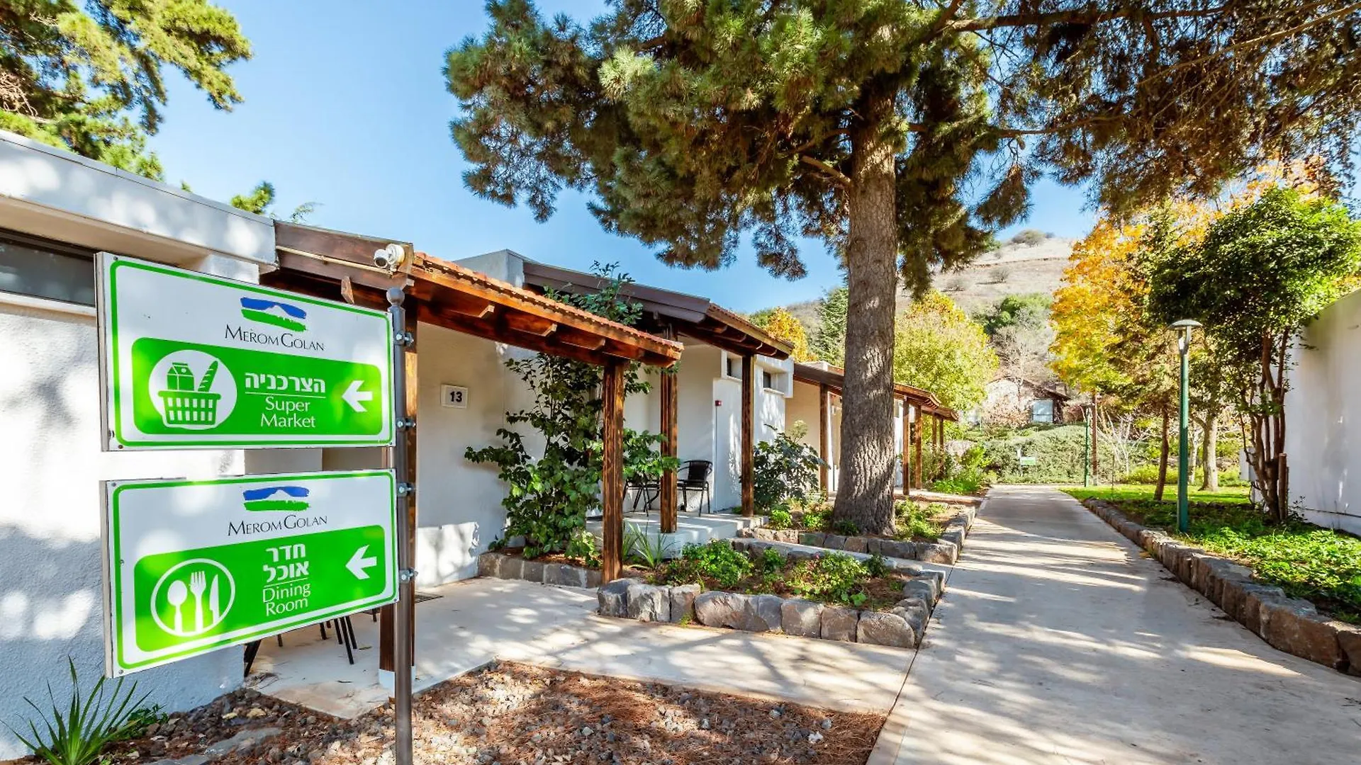 8 Top-Rated Resort Hotels in Israel Worth Booking